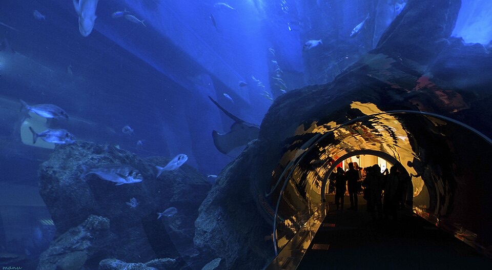Dubai Aquarium & Underwater Zooの外観