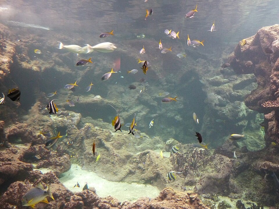オセアノポリス水族館の外観