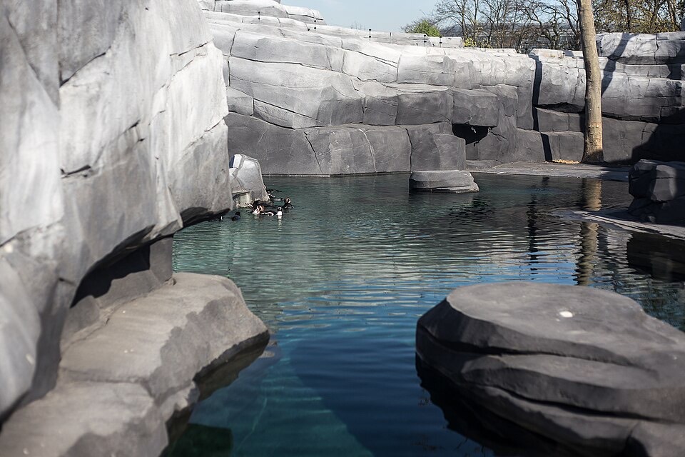 パリ動物園の外観