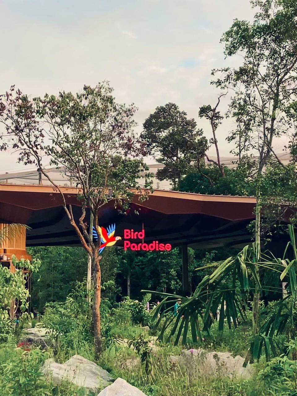 Bird Paradiseの外観