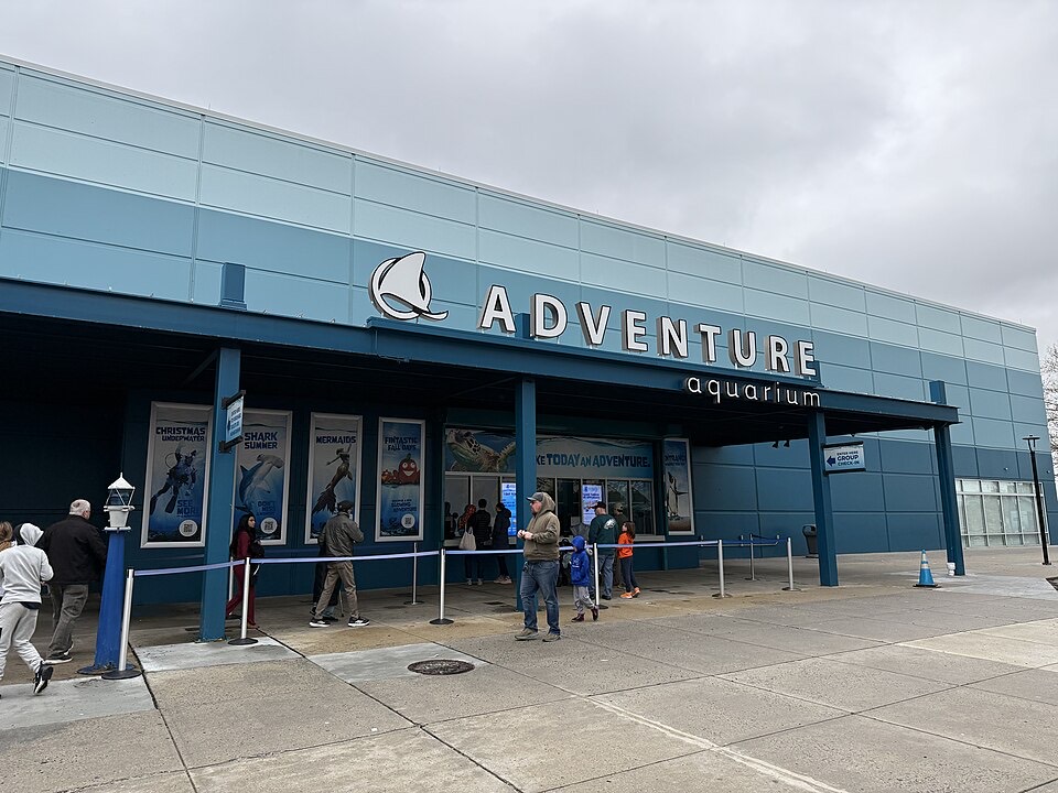 アドベンチャー水族館の外観