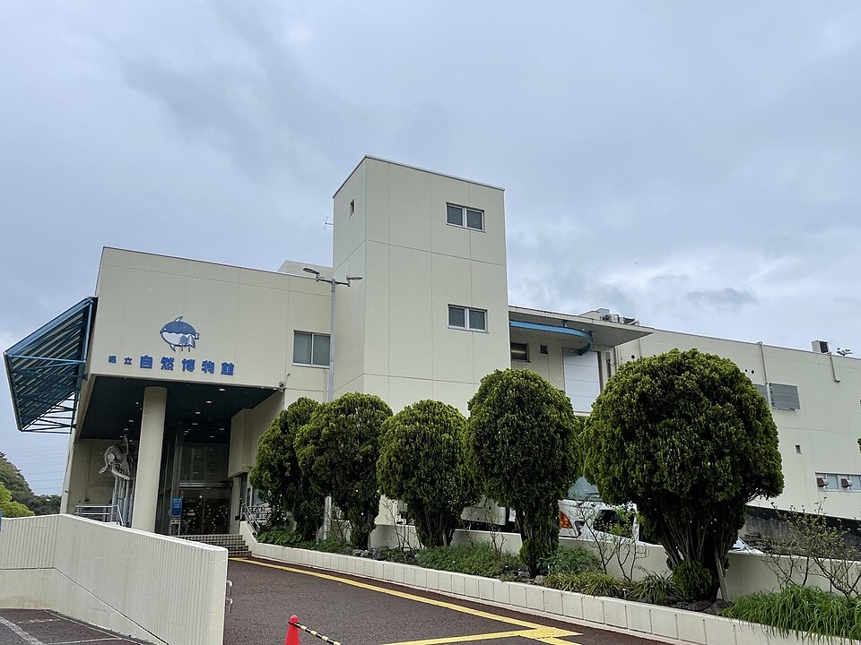 和歌山県立自然博物館の外観